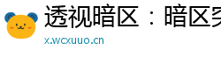 透视暗区：暗区突围透视科技解析与应用